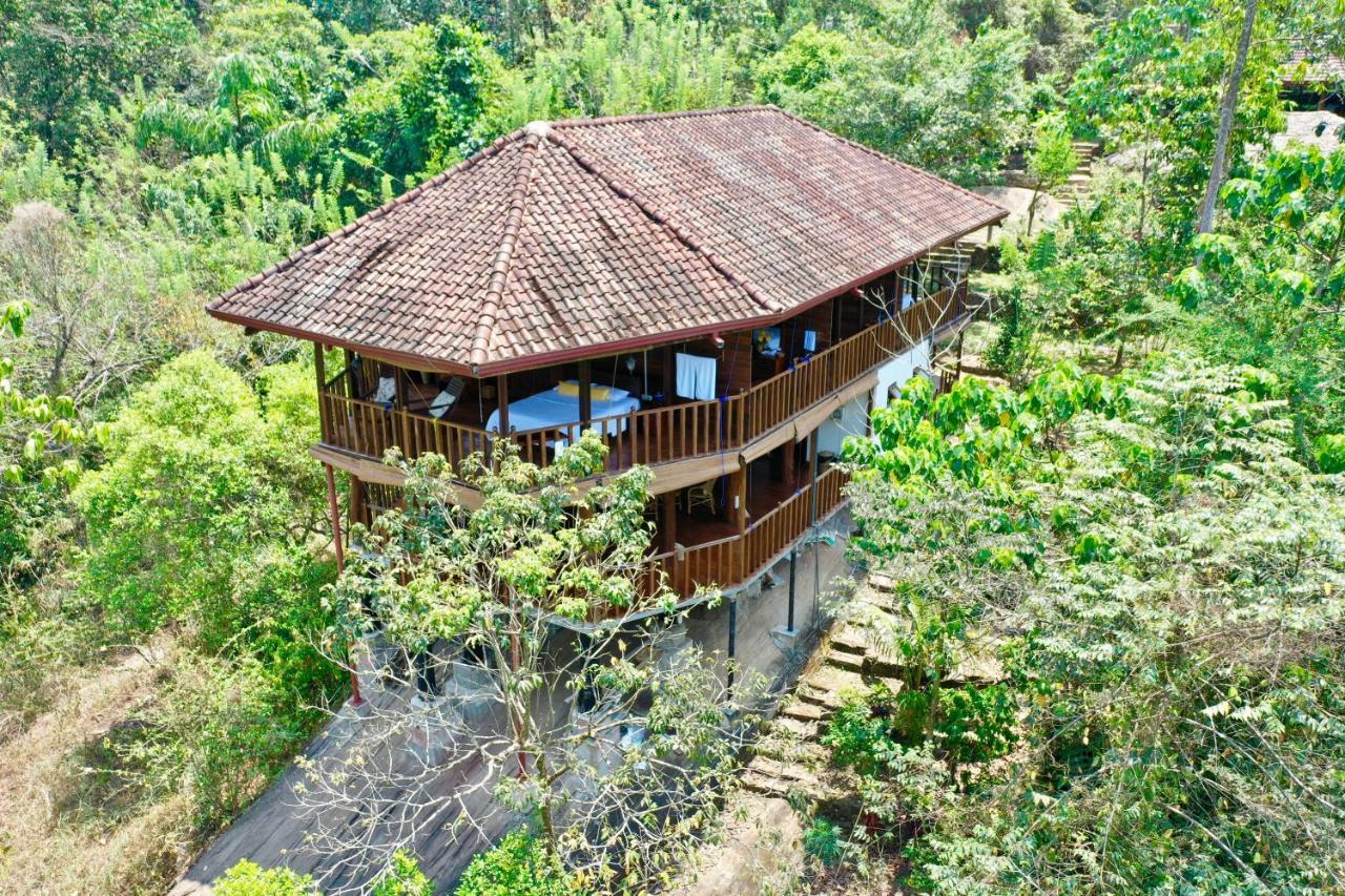 קיטולגאלה Wanakaset Forest Glamping מראה חיצוני תמונה