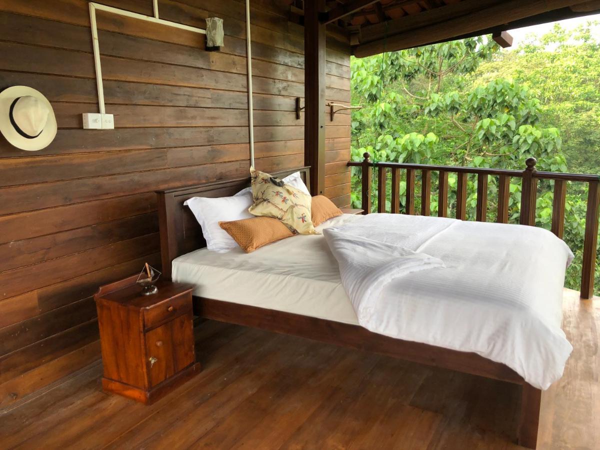 קיטולגאלה Wanakaset Forest Glamping מראה חיצוני תמונה