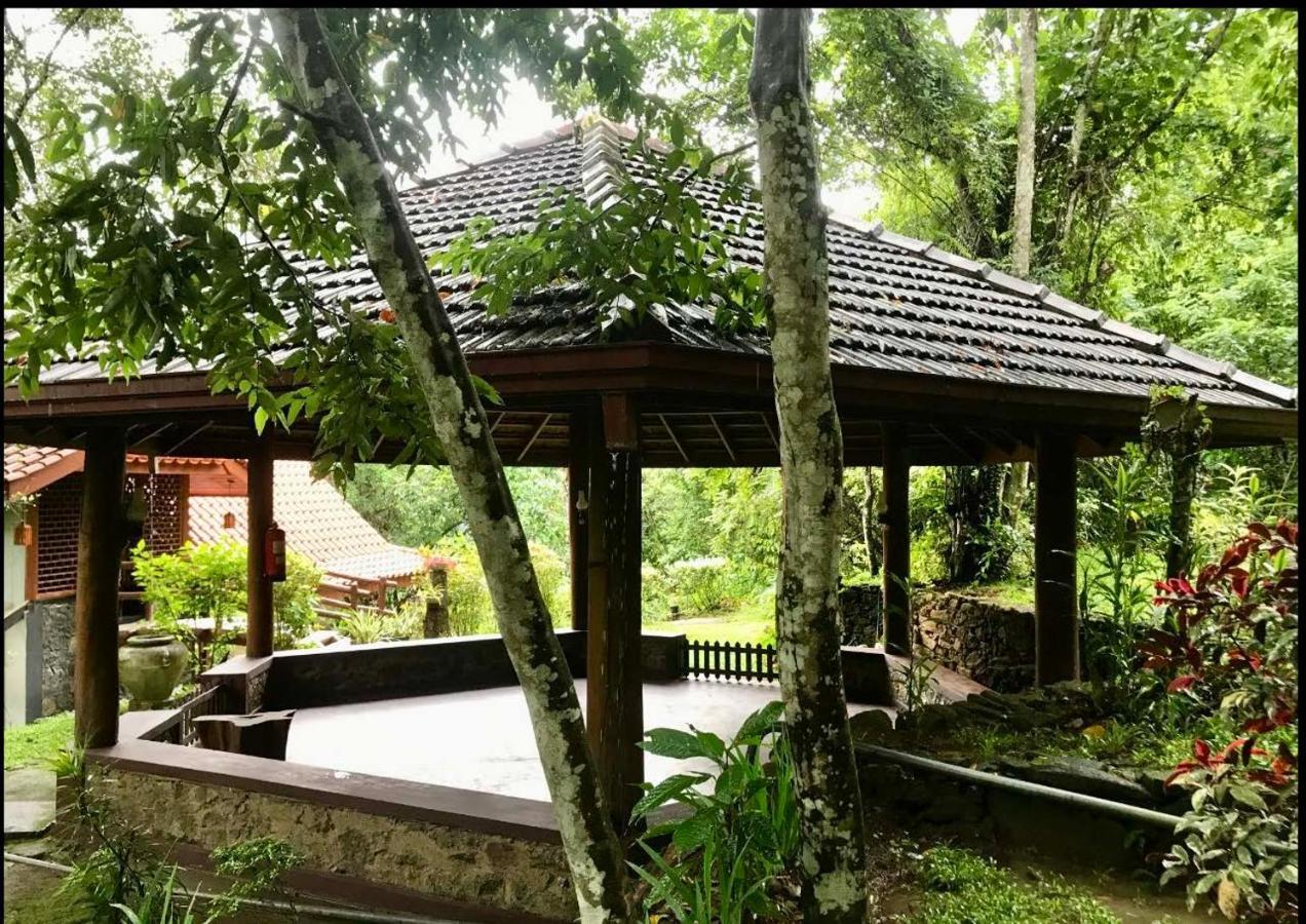 קיטולגאלה Wanakaset Forest Glamping מראה חיצוני תמונה