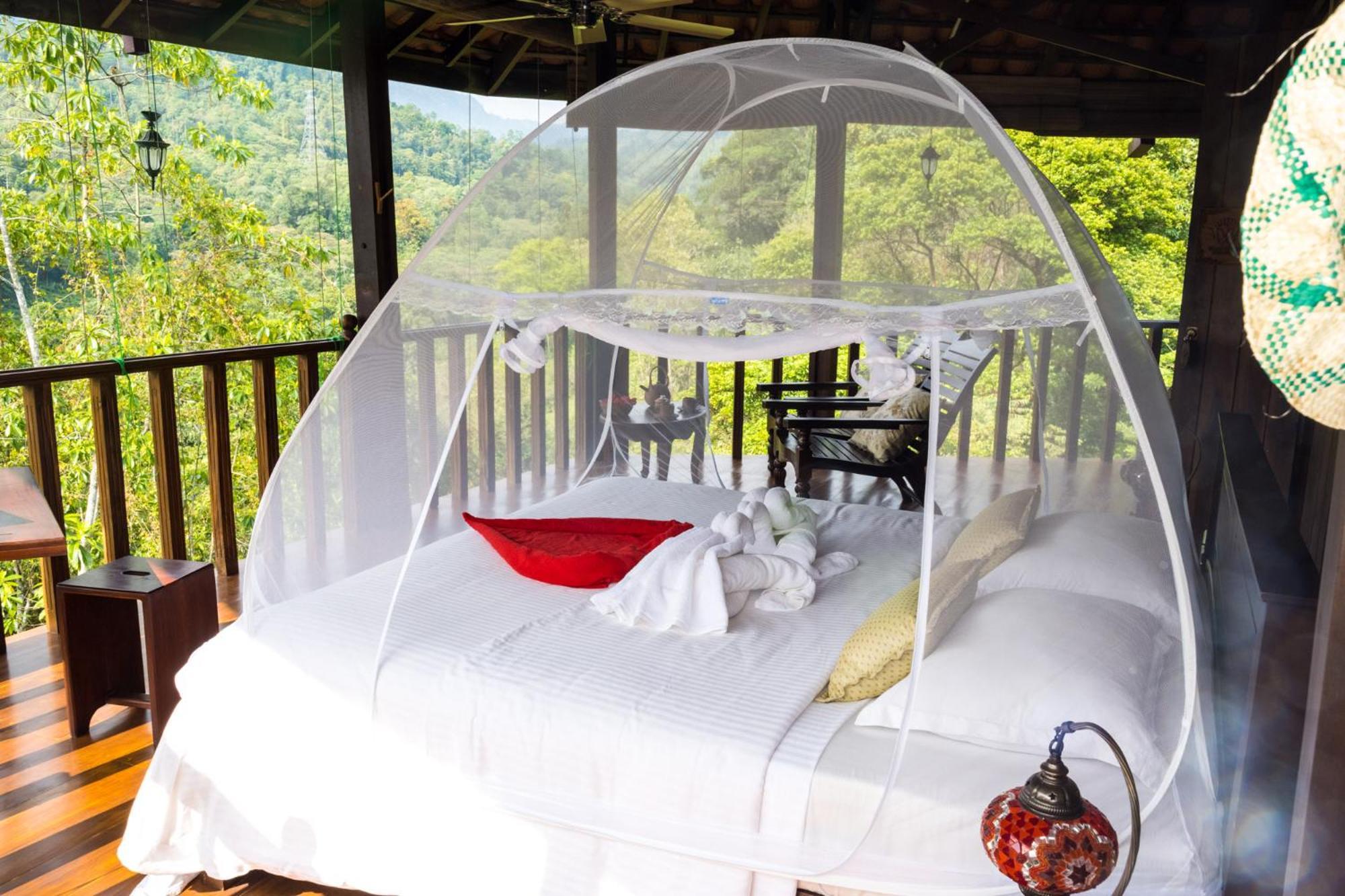 קיטולגאלה Wanakaset Forest Glamping מראה חיצוני תמונה