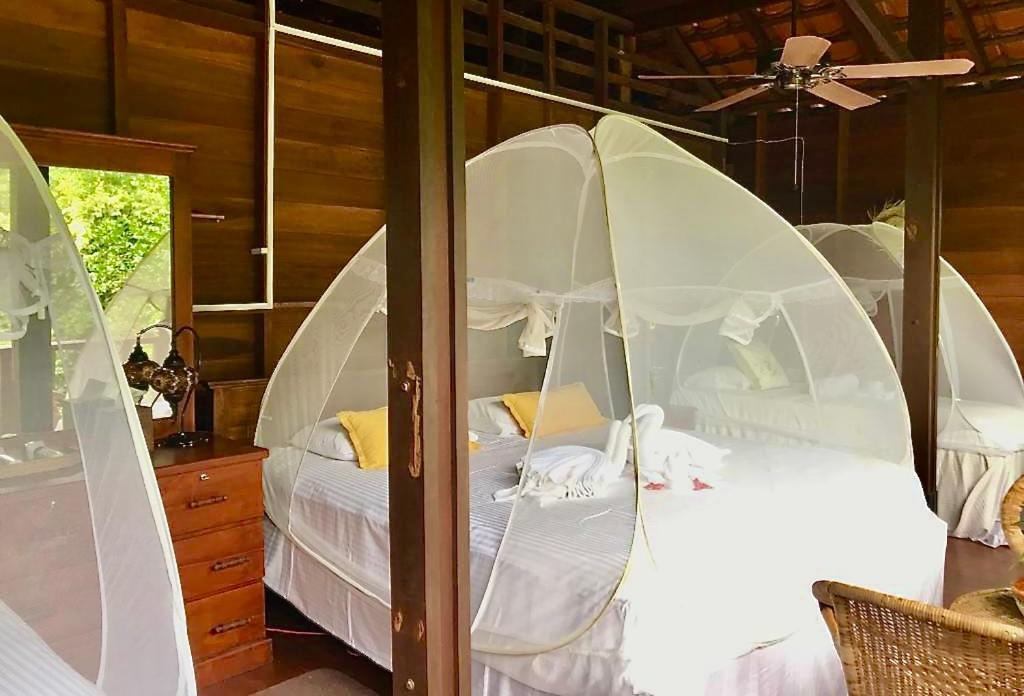 קיטולגאלה Wanakaset Forest Glamping מראה חיצוני תמונה